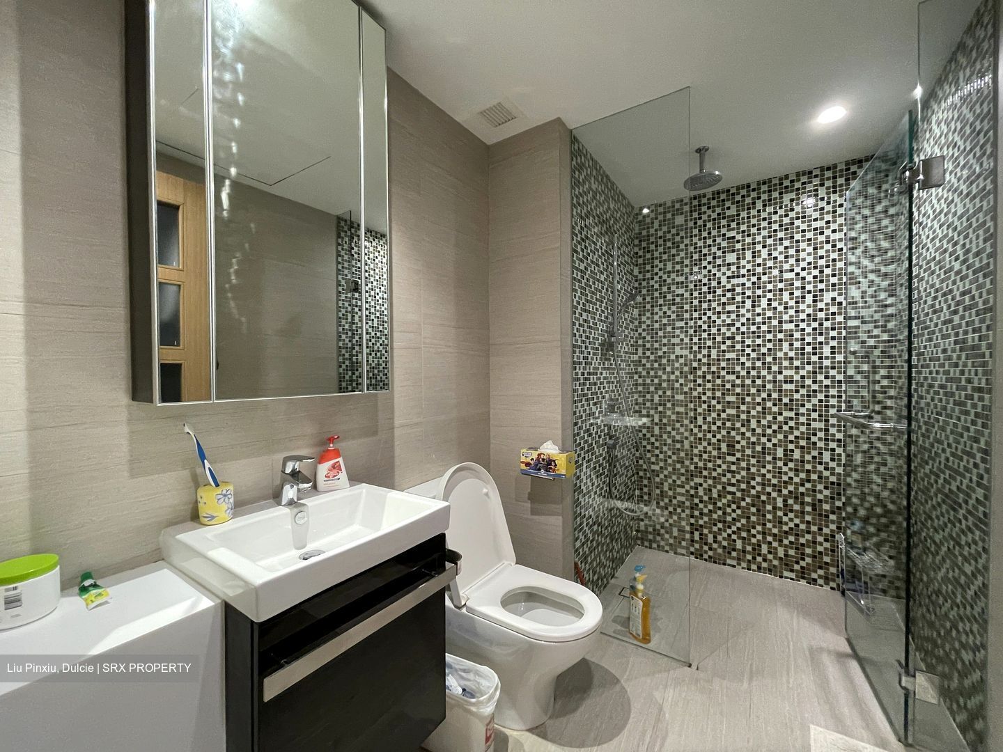 Sant Ritz (D13), Condominium #331186601